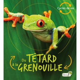 DU TETARD A LA GRENOUILLE