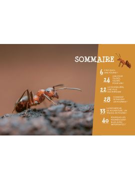 LES FOURMIS