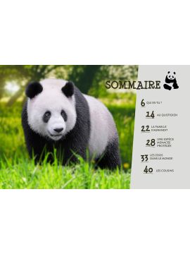 LE PANDA