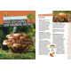 MES PREMIERES CUEILLETTES DE CHAMPIGNONS