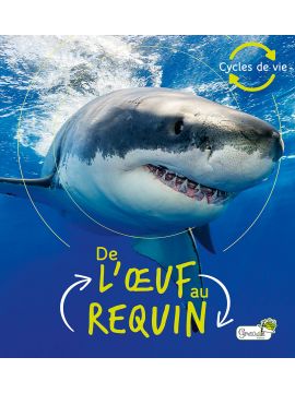 DE L'OEUF AU REQUIN