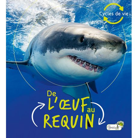 DE L'OEUF AU REQUIN