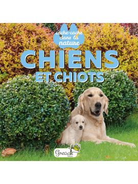 CHIENS ET CHIOTS - CACHE CACHE DANS LA NATURE