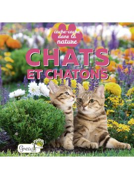 CHATS ET CHATONS - CACHE CACHE DANS LA NATURE