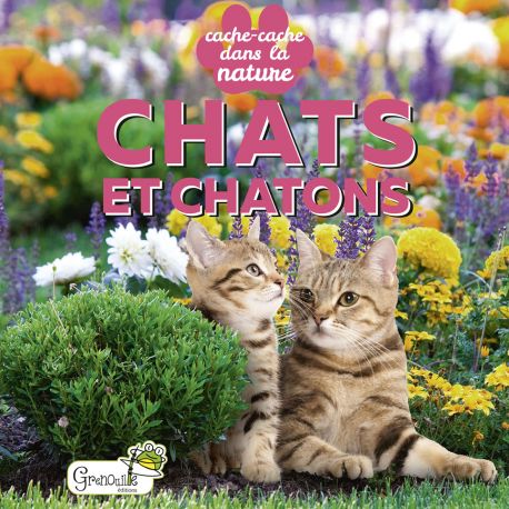 CHATS ET CHATONS - CACHE CACHE DANS LA NATURE