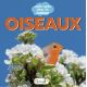 OISEAUX - CACHE CACHE DANS LA NATURE