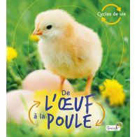 DE L'OEUF A LA POULE