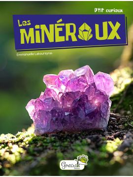 LES MINERAUX