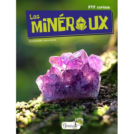 LES MINERAUX