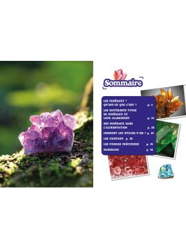 LES MINERAUX
