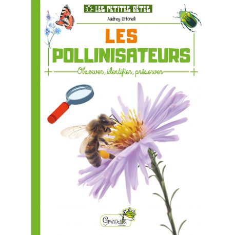 PETITES BETES LES POLLINISATEURS