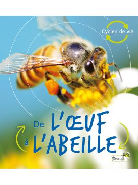 DE L'OEUF A L'ABEILLE