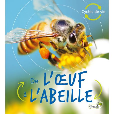 DE L'OEUF A L'ABEILLE