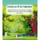 DINOSAURES ET CREATURES EXTRAORDINAIRES MON ABC A COLORIER