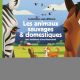 LES ANIMAUX SAUVAGES & DOMESTIQUES