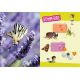 PETITES BETES INSECTES ET PAPILLONS