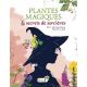 PLANTES MAGIQUES ET SECRETS DE SORCIERES