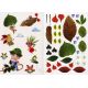 PERSONNAGES - CREA NATURE