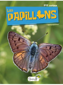 LES PAPILLONS