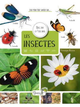 LES INSECTES