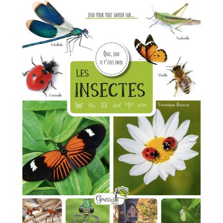 LES INSECTES