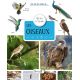 LES OISEAUX