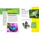 MA PETITE ENCYCLO DES INSECTES