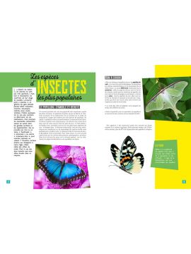 MA PETITE ENCYCLO DES INSECTES