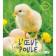 DE L'OEUF A LA POULE