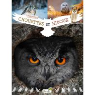 CHOUETTES ET HIBOUX