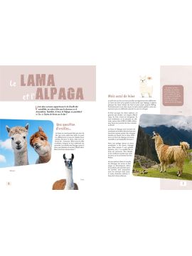 IDENTIQUES... OU PRESQUE ! CES ANIMAUX A NE PAS CONFONDRE